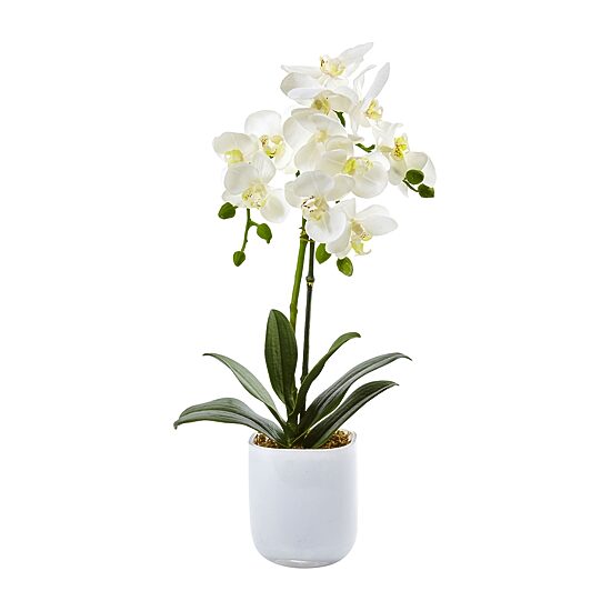Nearly Natural Phalaenopsis In Frosted Glass Artificial Flowers