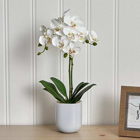 Nearly Natural Phalaenopsis In Frosted Glass Artificial Flowers