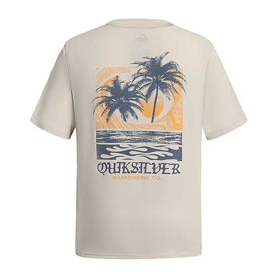 Quiksilver Big Kid Boys Crew Neck Short Sleeve Regular Fit Graphic T-Shirt