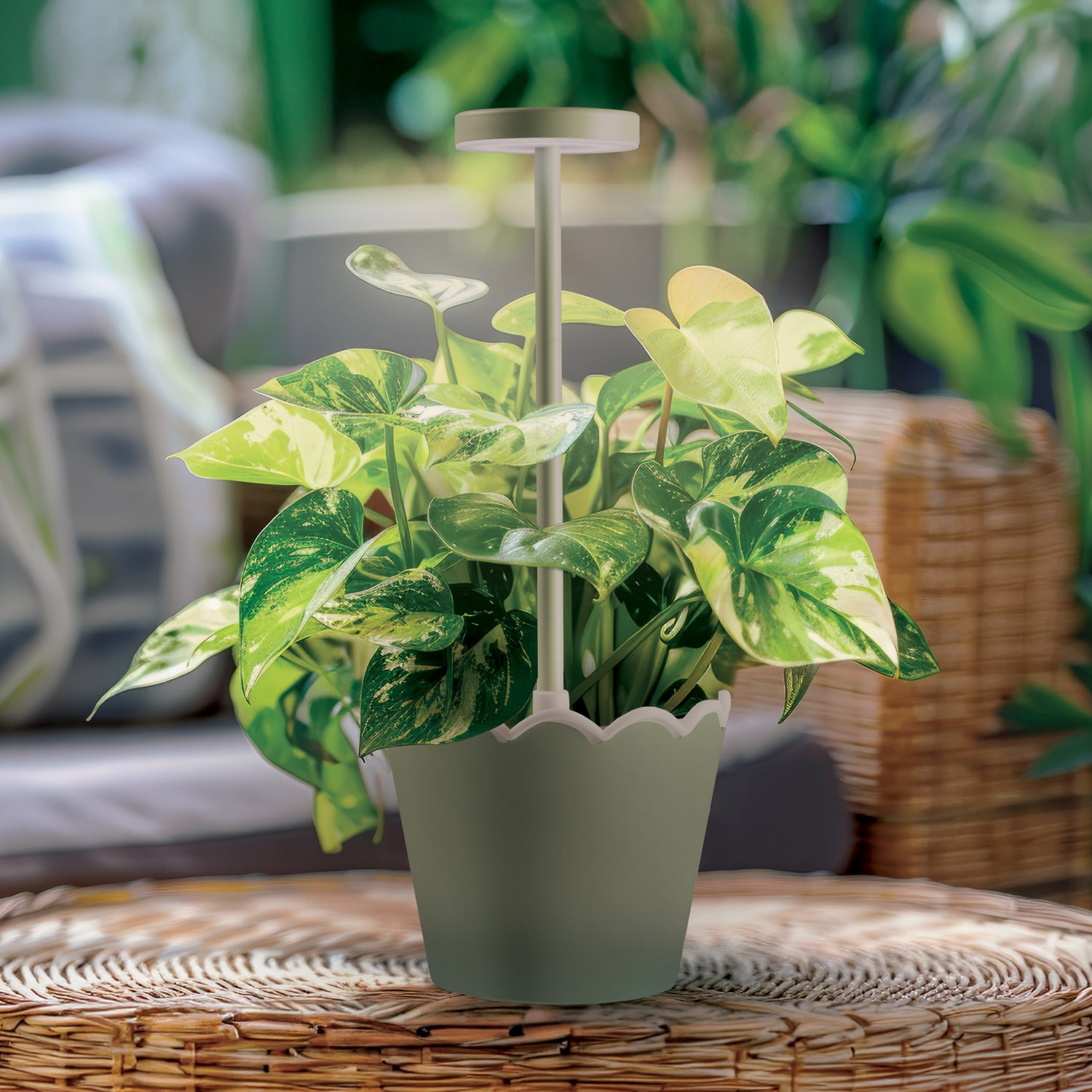 Merkury Innovations Led Touch Control Rechargeablebbattery Waterproof Planter Plastic Table Lamp