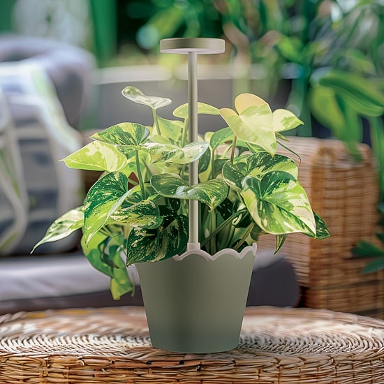 Merkury Innovations Led Touch Control Rechargeablebbattery Waterproof Planter Plastic Table Lamp