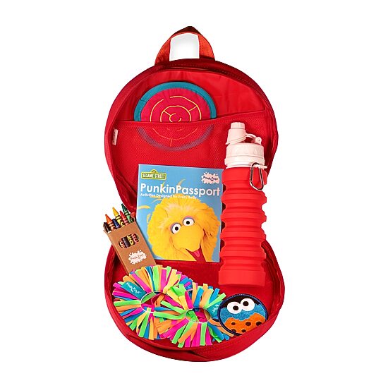 PunkinFutz Sesame Street Sensory Fidget Activity Set