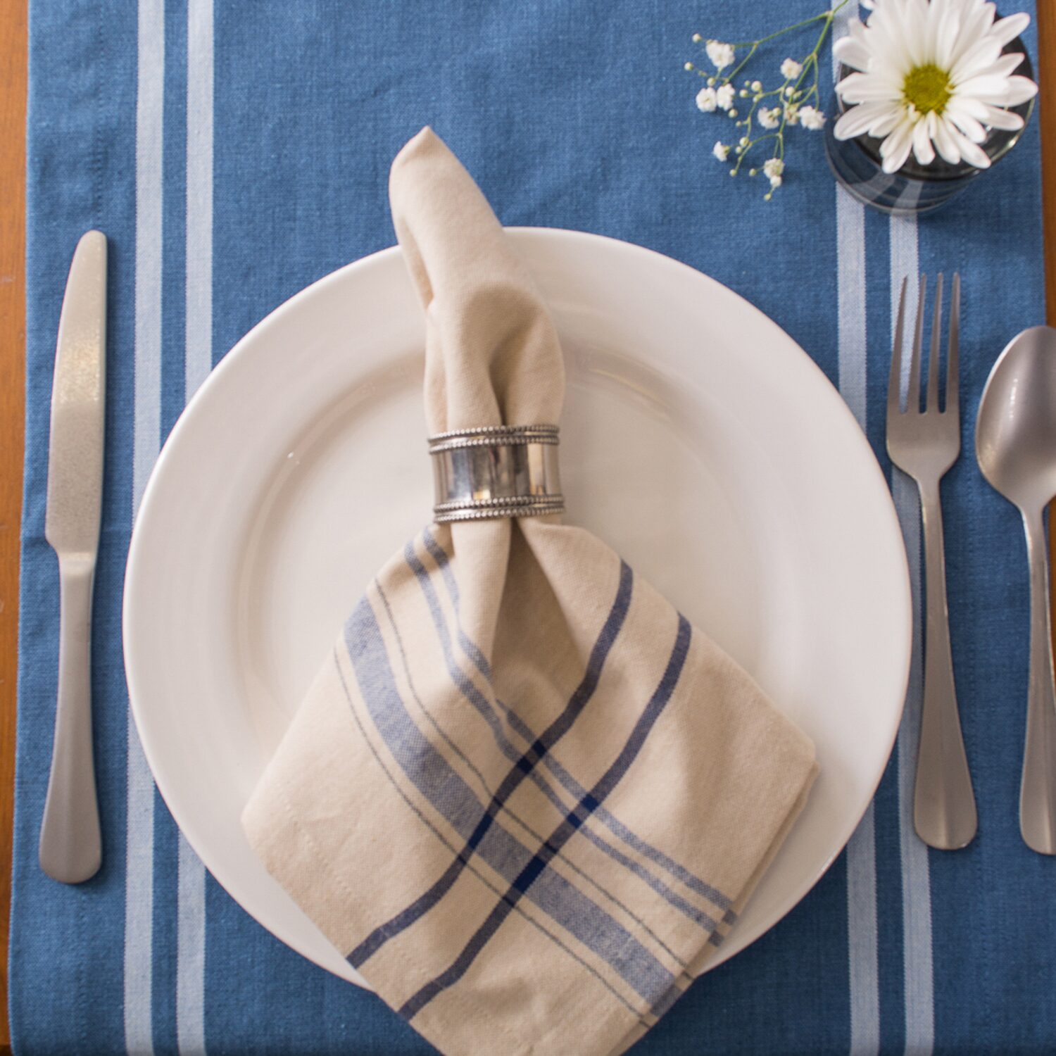 Design Imports French Stripe 6-pc. Napkins