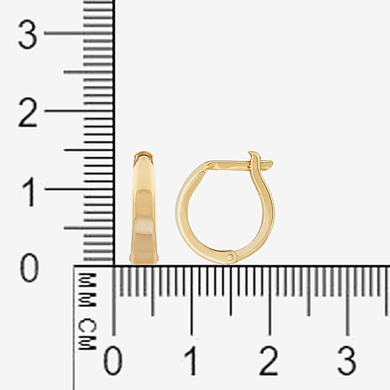 Womens 14K Gold 13.8mm Round Hoop Earrings