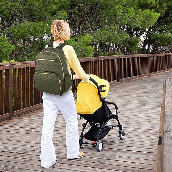 Fisher-Price Adjustable Straps Cell Phone Pocket Diaper Bag