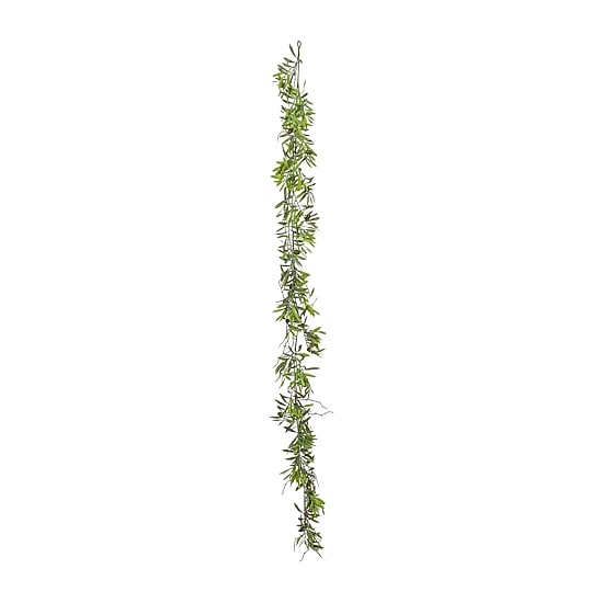 Vickerman 6' Green Olive Hill Garland X 59