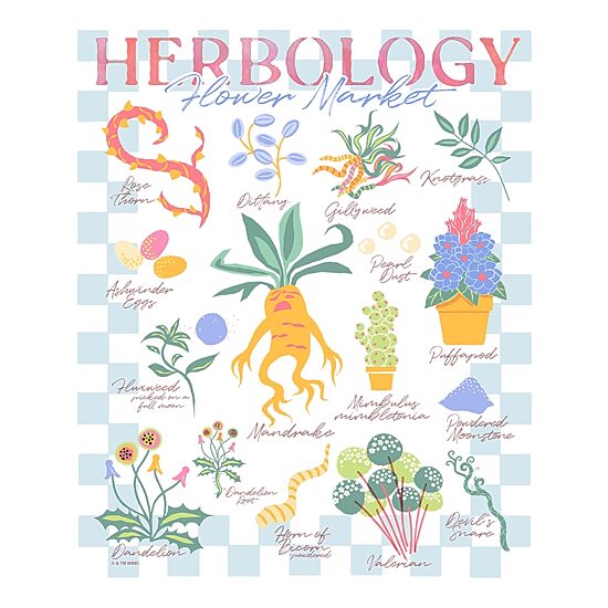Herbology Flower Market Womens Juniors Crew Neck Short Sleeve Regular Fit Harry Potter Graphic T-Shirt