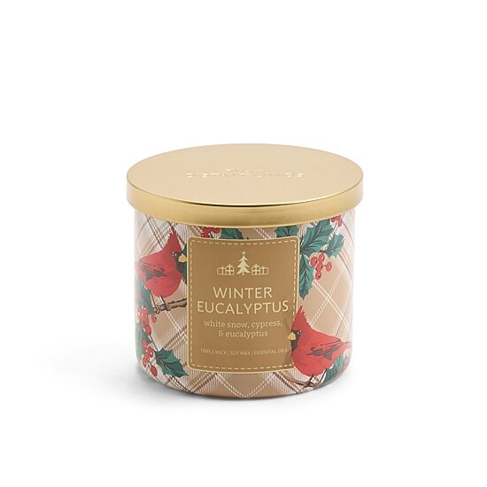 Distant Lands Scented Jar Candle