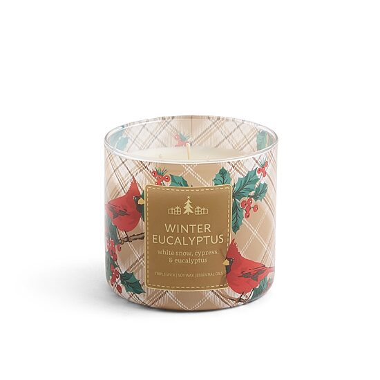Distant Lands Scented Jar Candle