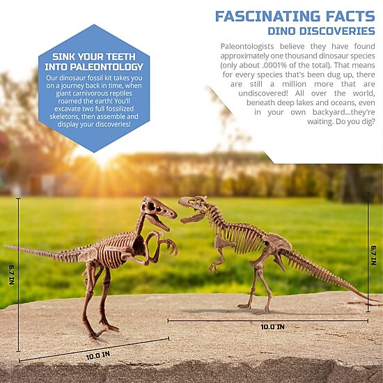 Discovery #Mindblown Dinosaur Fossil Dig 2-Pack Excavation Kit