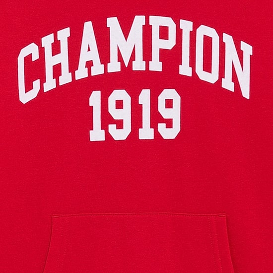 Champion Big Kid Boys Long Sleeve Fleece Active Hoodie