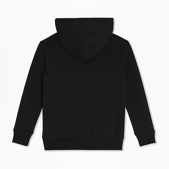 Champion Big Kid Boys Long Sleeve Embroidered Fleece Active Hoodie
