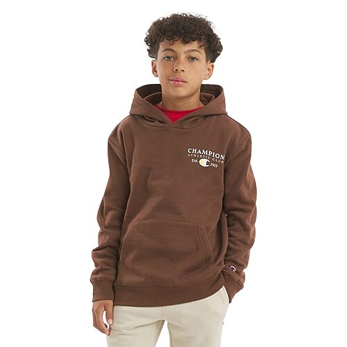 Champion Big Kid Boys Long Sleeve Fleece Active Hoodie In Brown