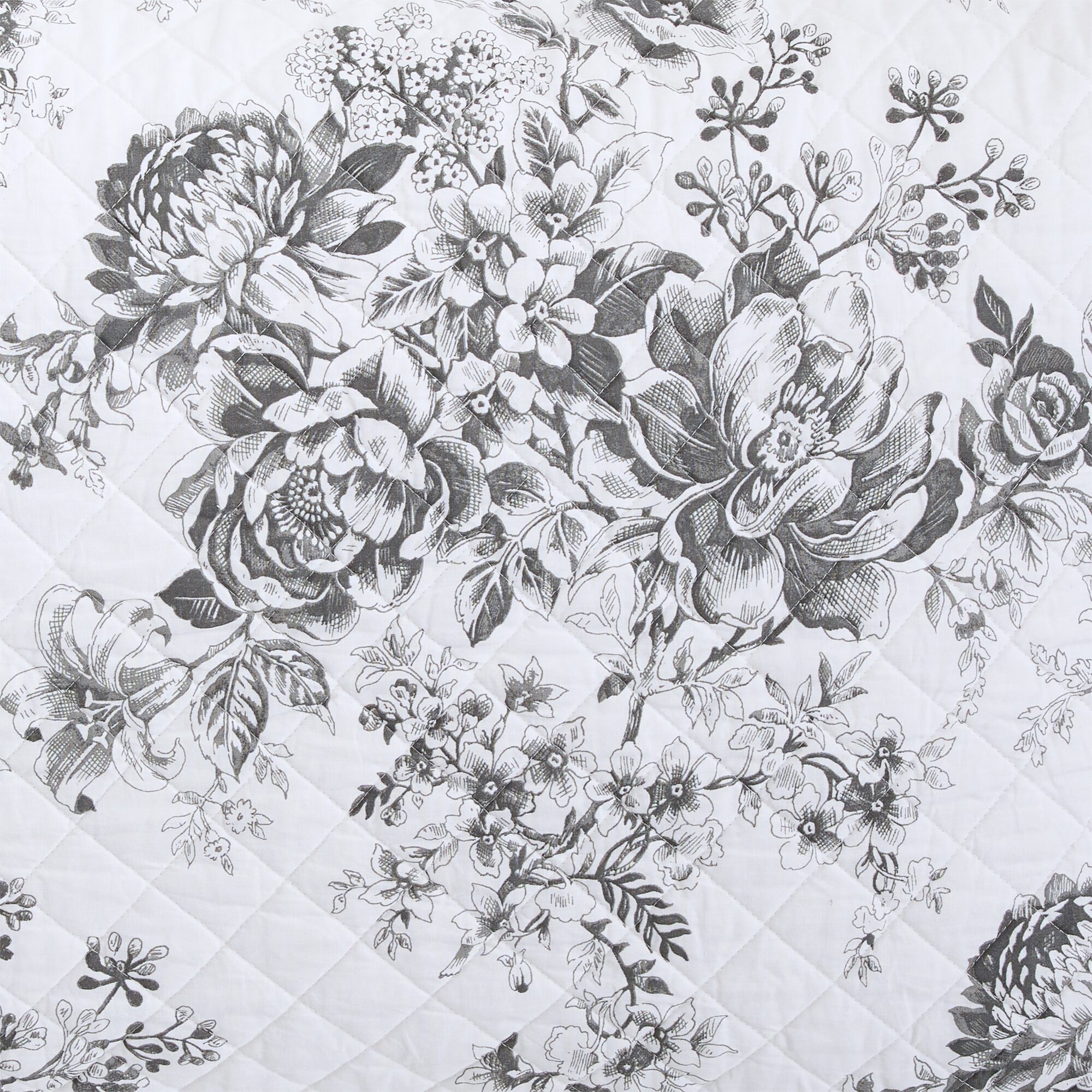 Linden Street Haven Toile Euro Sham