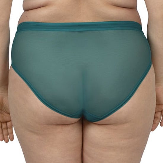 Curvy Couture Sheer Mesh High Cut Brief-1313