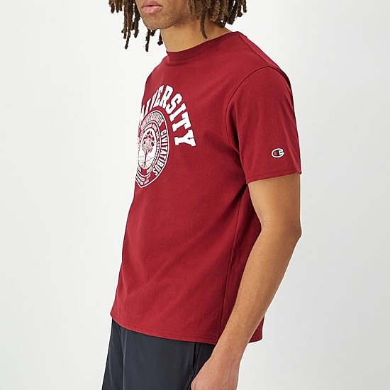 Champion Mens Crew Neck Short Sleeve Regular Fit Graphic T-Shirt
