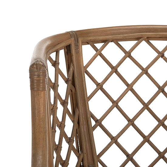 Safavieh Carlotta Upholstered Armchair