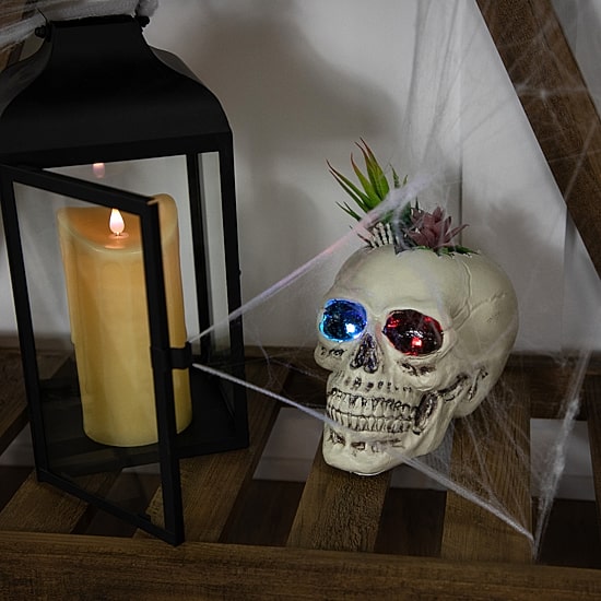 Northlight 8.75in Led Lighted Succulent Skull Lighted Tabletop Decor
