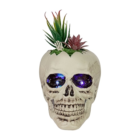 Northlight 8.75in Led Lighted Succulent Skull Lighted Tabletop Decor