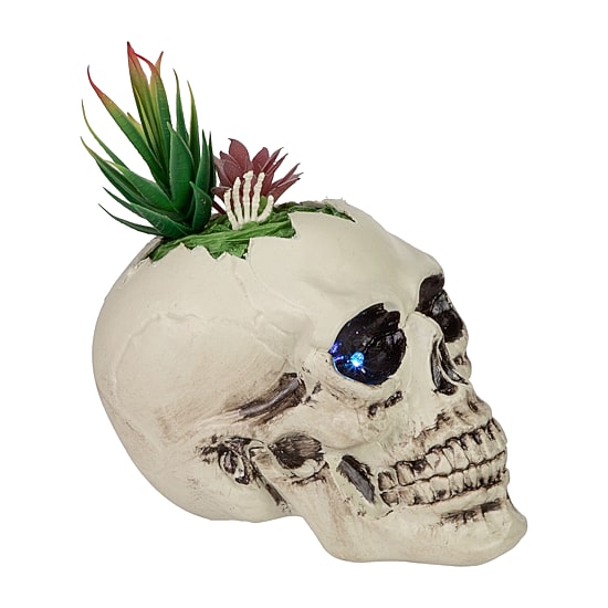 Northlight 8.75in Led Lighted Succulent Skull Lighted Tabletop Decor
