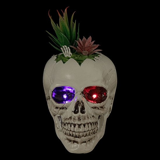Northlight 8.75in Led Lighted Succulent Skull Lighted Tabletop Decor