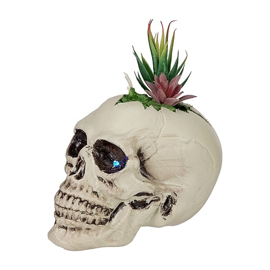 Northlight 8.75in Led Lighted Succulent Skull Lighted Tabletop Decor