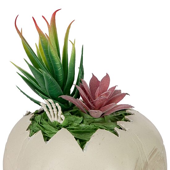 Northlight 8.75in Led Lighted Succulent Skull Lighted Tabletop Decor