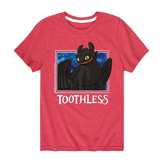 Toothless Night Fury Little & Big Kid Boys Crew Neck Short Sleeve Regular Fit Graphic T-Shirt