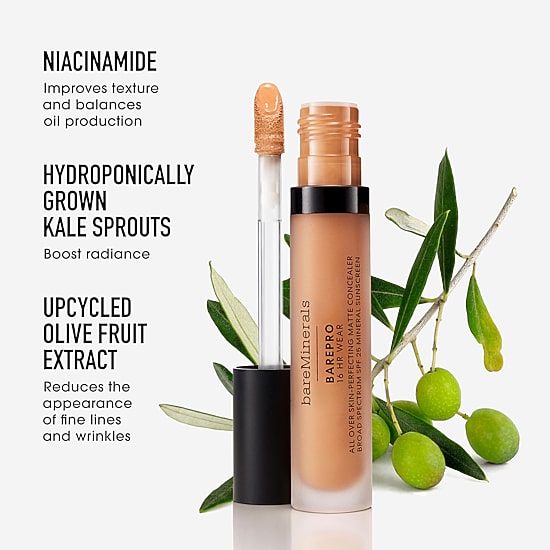 bareMinerals Barepro 16hr All Over Skin-Perfecting Matte Concealer Mineral SPF 25