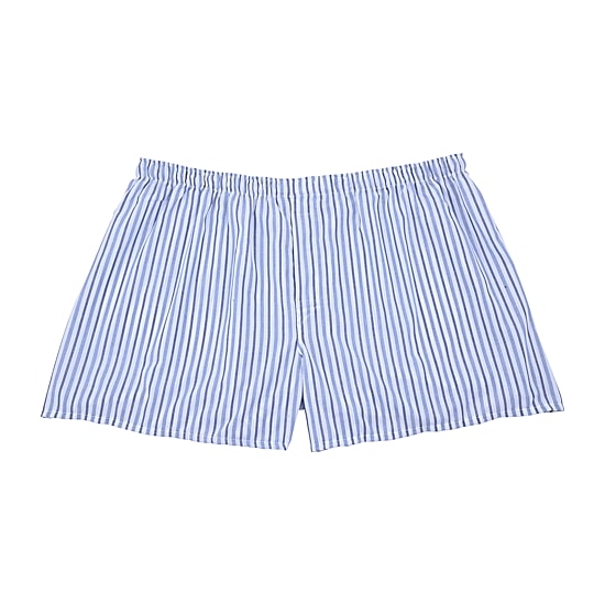 Hanes Mens Big and Tall 3 Pack Boxers 155hb