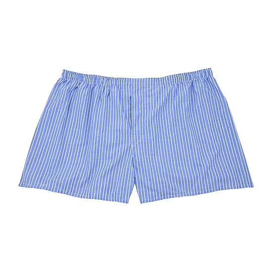 Hanes Mens Big and Tall 3 Pack Boxers 155hb