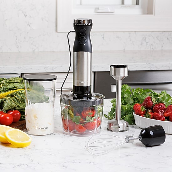 Kenmore Variable Speed 10-Speed Immersion Blender