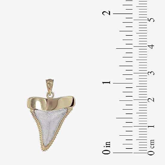 Shark Tooth Womens 14K Gold Pendant