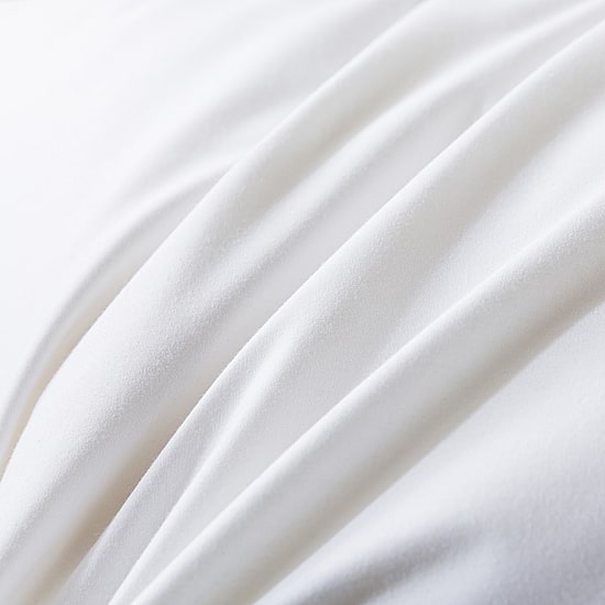 Royal Velvet White European Down And Nano Feather Pillow