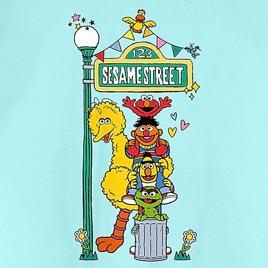 Womens Juniors Crew Neck Short Sleeve Loose Fit Sesame Street Graphic T-Shirt