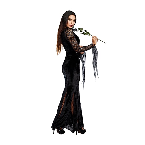 Womens Morticia Costume
