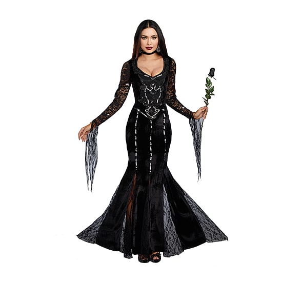 Womens Morticia Costume