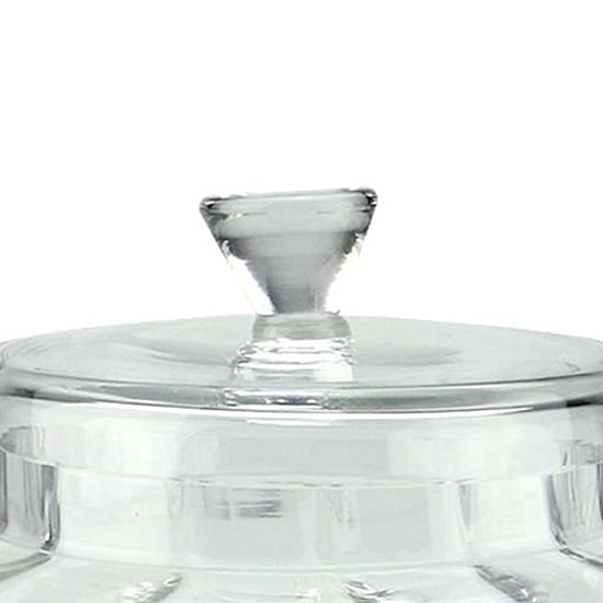 11'' Clear Transparent Segmented Glass Container with Lid