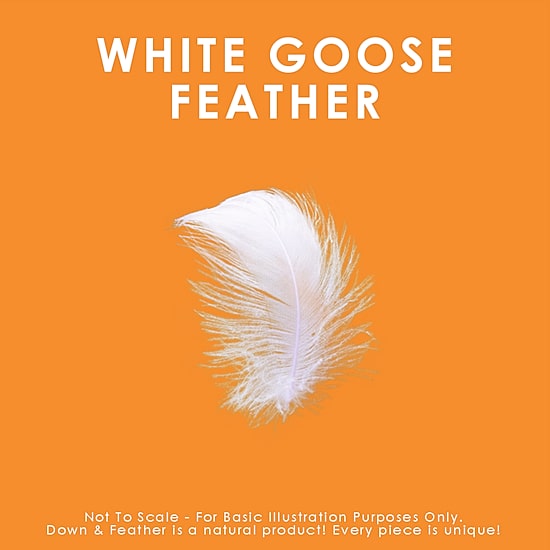 Canadian Down & Feather Company White Goose Feather Duvet