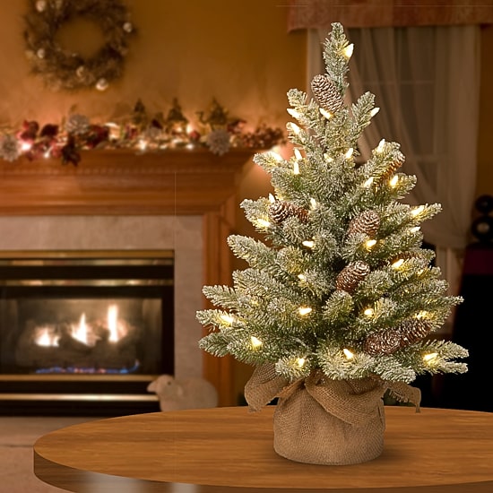 National Tree Co. Snowy Concolor Burlap 2 Foot Pre-Lit Fir Christmas Tree