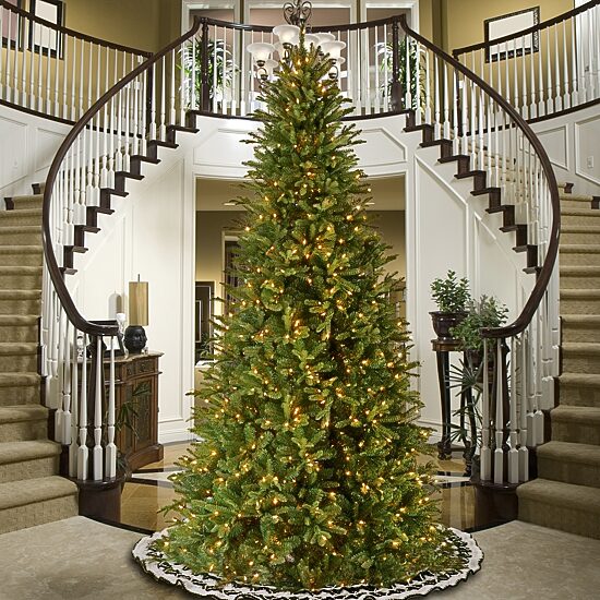 National Tree Co. Tiffany Fir Slim 12 Foot Pre-Lit Fir Christmas Tree