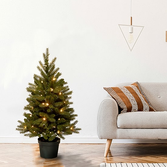 National Tree Co. Jersey Frasier Fir Entrance Potted 3 Foot Pre-Lit Fir Christmas Tree