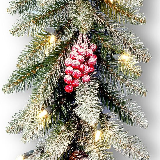 National Tree Co. Snow Splashed Dunhill  Fir Christmas Indoor Outdoor Garland