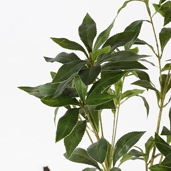 Safavieh Pieris Japonica Artificial Plant