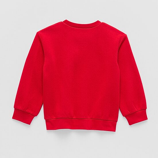 Okie Dokie Toddler & Little Unisex Crew Neck Fleece Long Sleeve Sweatshirt