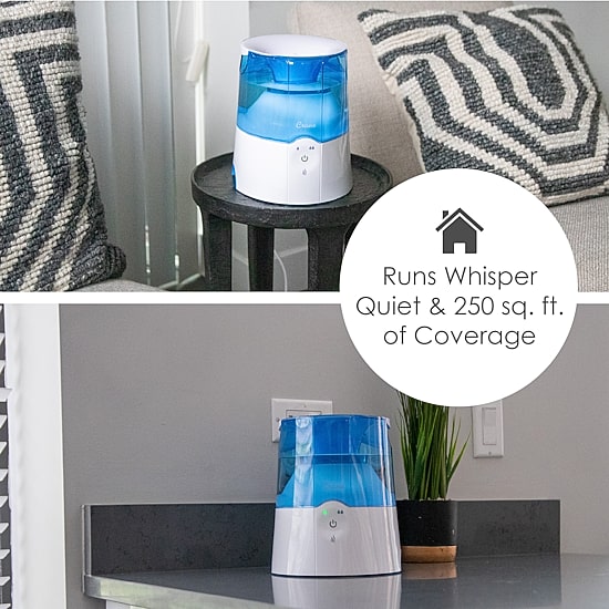 Crane 0.5 Gallon 2-In-1 Warm Mist Humidifier & Personal Steam Inhaler