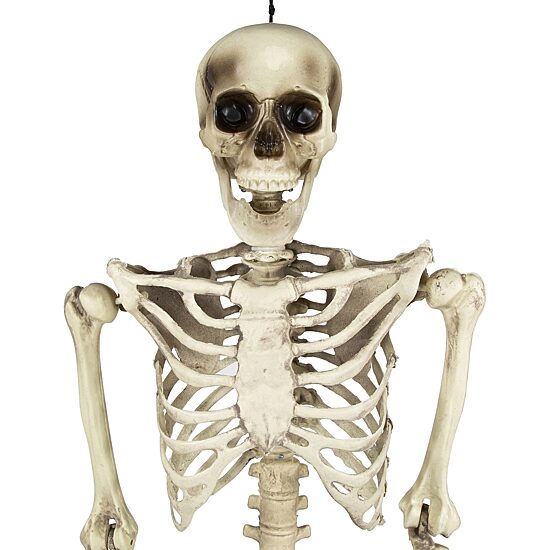Northlight 5' Life Size Skeleton Halloween Yard Art