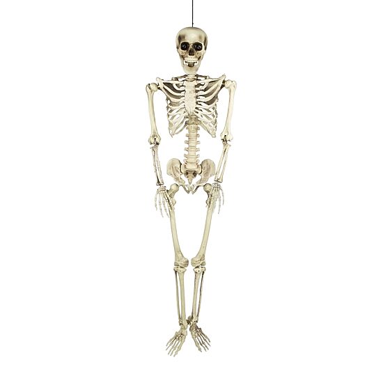 Northlight 5' Life Size Skeleton Halloween Yard Art