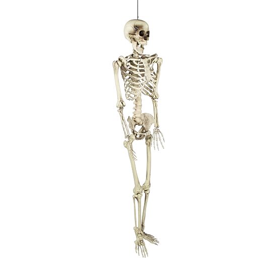 Northlight 5' Life Size Skeleton Halloween Yard Art