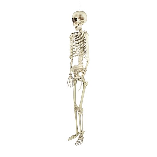 Northlight 5' Life Size Skeleton Halloween Yard Art